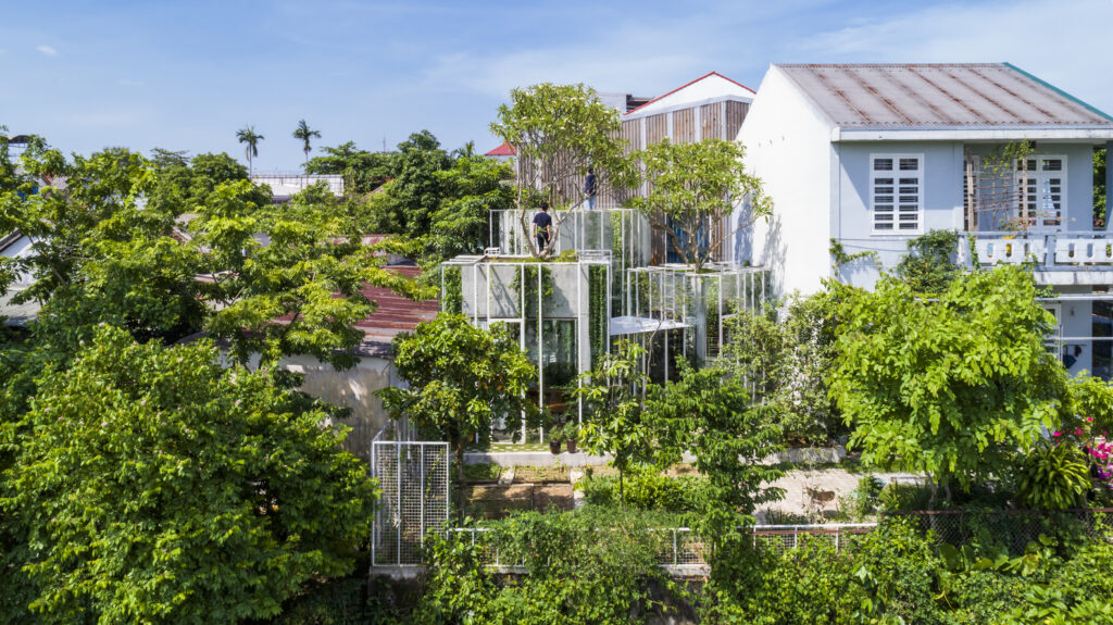 Căn nhà Labri House ngập tràn cây xanh của cặp vợ chồng Huế - Ảnh 1