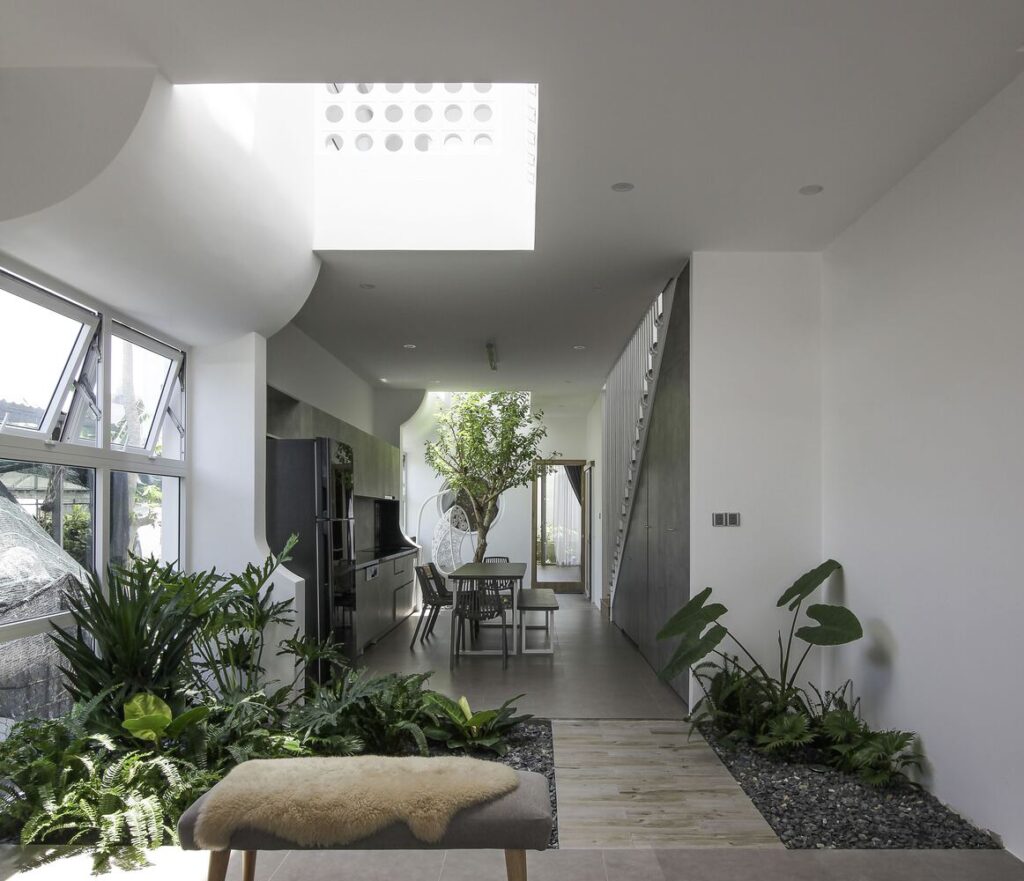 Flow House - Ngôi nhà dòng chảy không khí và ánh sáng tự nhiên - Ảnh 2