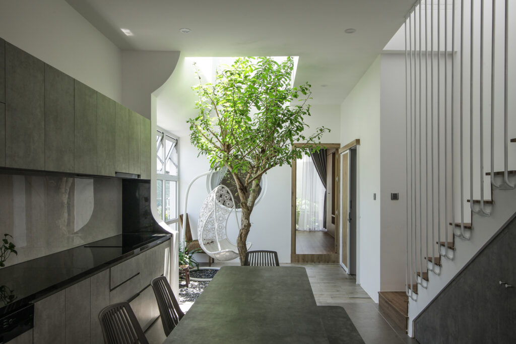 Flow House - Ngôi nhà dòng chảy không khí và ánh sáng tự nhiên - Ảnh 4