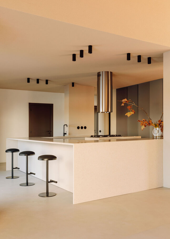 Căn biệt thự như studio trưng bày nghệ thuật - Ảnh 5