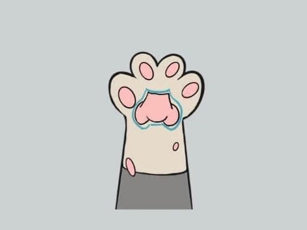 Ảnh 4