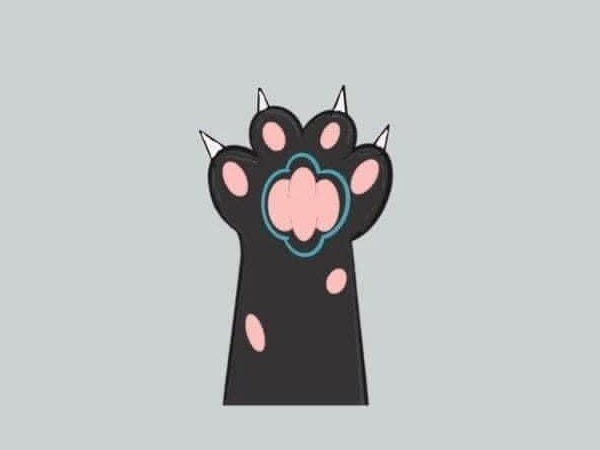 Ảnh 5