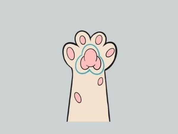 Ảnh 6