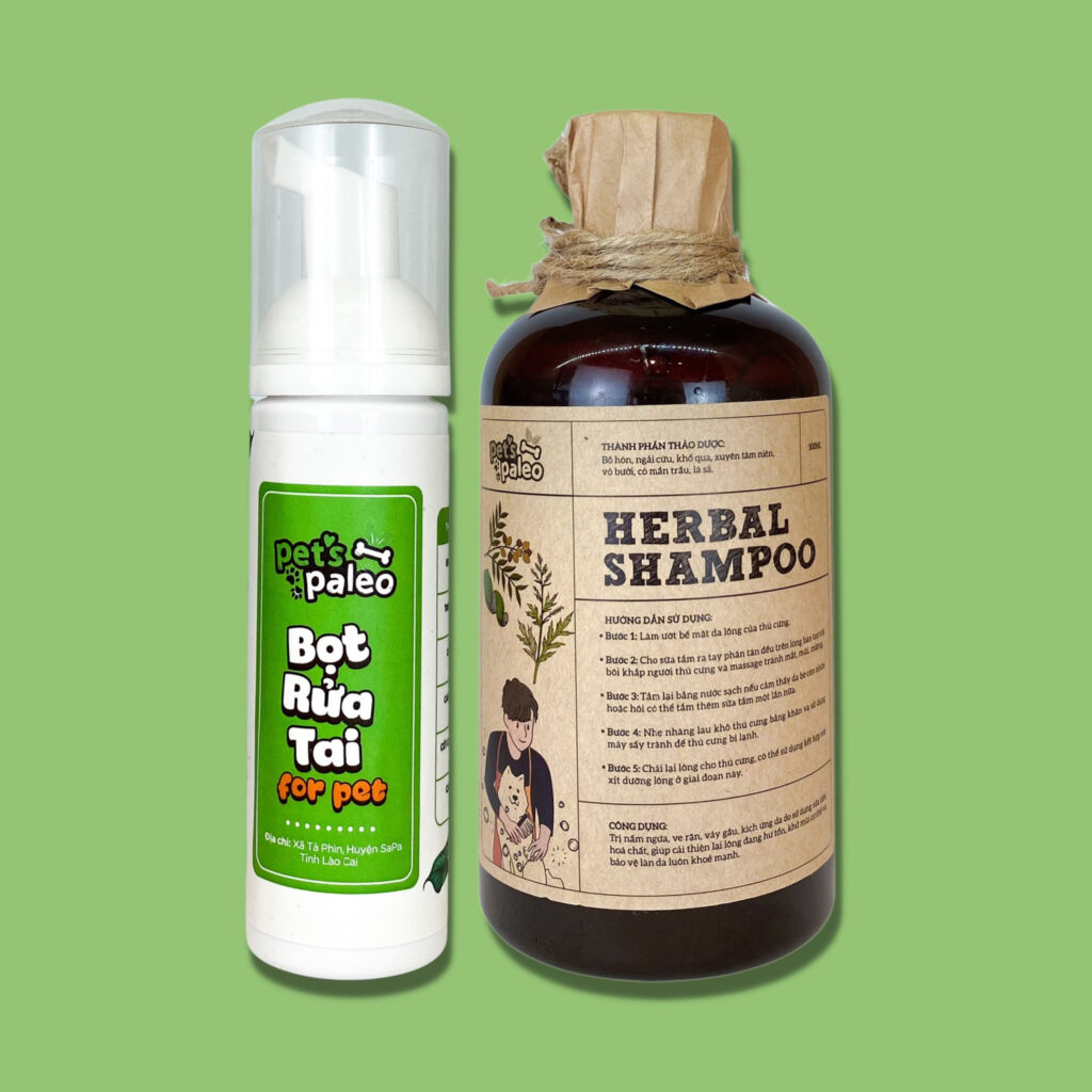 Một số cách trị nấm da ở mèo - Ảnh 2