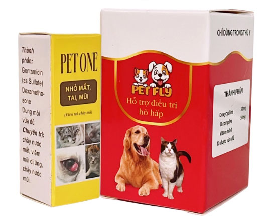 Cách chữa trị hiệu quả cho mèo bị sổ mũi - Ảnh 1