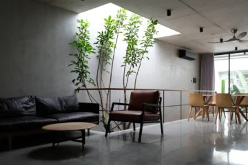 Ảnh Nhà ống không có bất kỳ tường ngăn nào, kể cả nhà vệ sinh