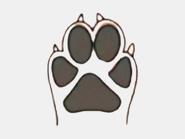 Ảnh 5