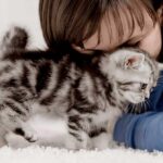 Ảnh Những điều cần chuẩn bị khi nuôi mèo