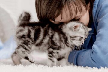 Ảnh Ngôi nhà mái ngói hình phễu để chống nóng ở Tây Ninh